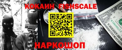шишки Гатчина