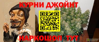 шишки Гатчина