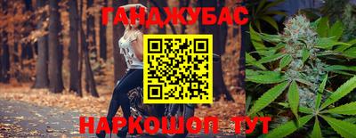шишки Гатчина