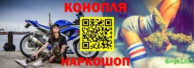 шишки Гатчина
