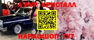 шишки Гатчина