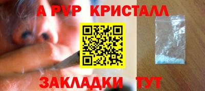 шишки Гатчина