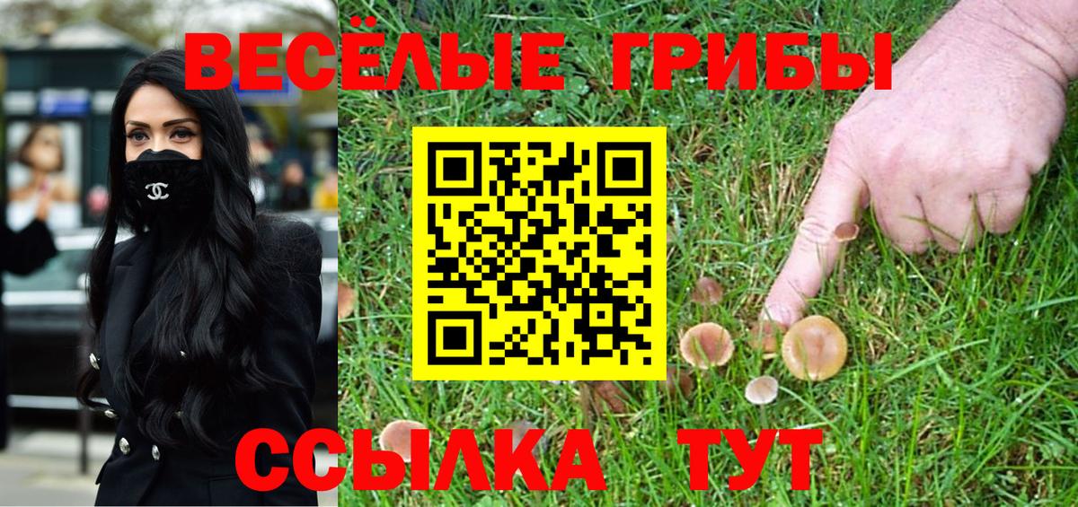 Галлюциногенные грибы Psilocybine cubensis  Вход с VPN  Псилоцибиновые грибы мицелий  Наро-Фоминск 
